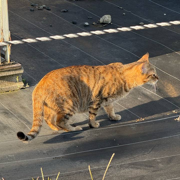 E3793326 35c4 4a74 8c40 804cfb84944d 1758695536236