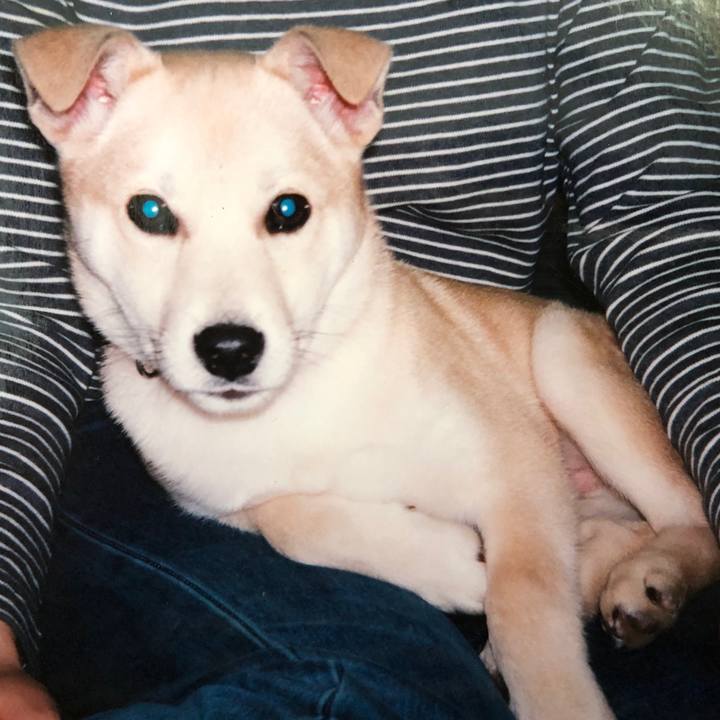 E379375f 48a1 4b39 86d1 88115f558cb7 1577599585941