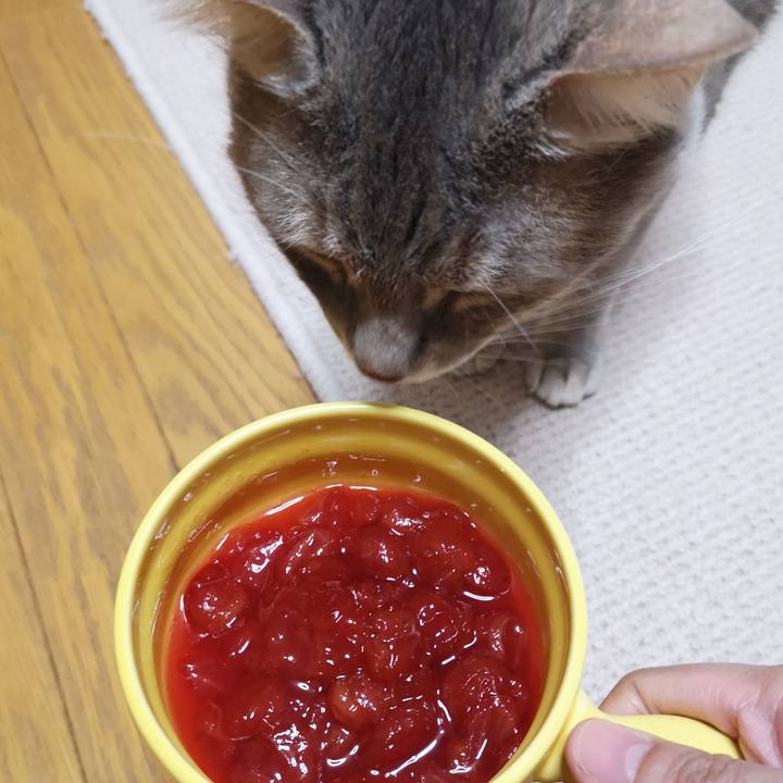 E37941e0 5a5f 4a3b bccf a43d832083cb 1557450187177