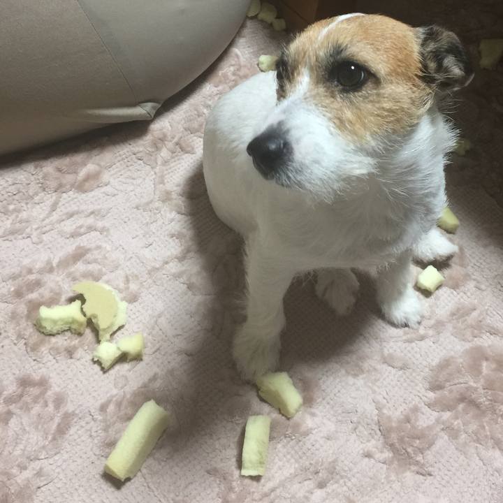 E3797818 3828 41f5 bf07 ee15a4e9f912 1509201255969