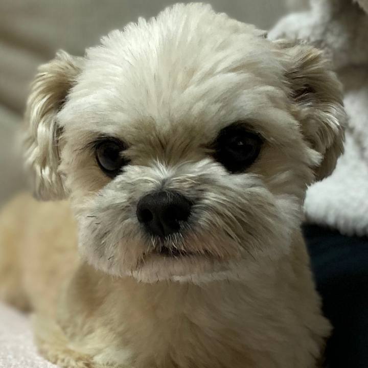 E37a1594 78b0 4e05 bd33 fbaf785ab61a 1585655882808