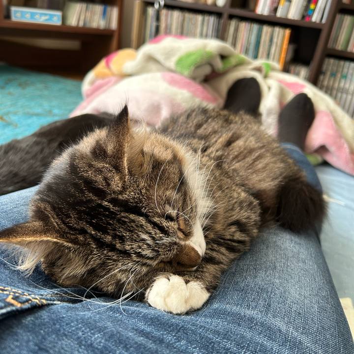 E37a1cd7 5cb2 407a a32d 468e16e99718 1734051999520