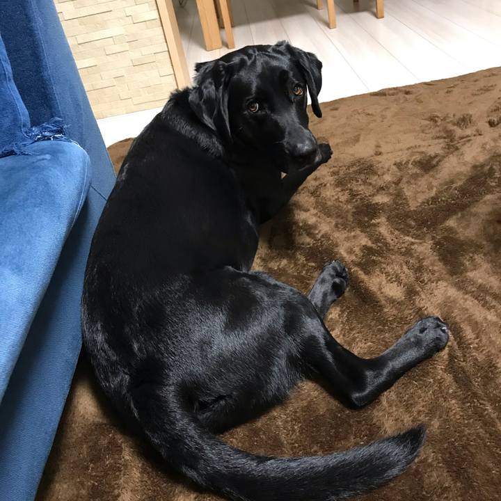 E37a77d1 a45c 407c acdc fad28f08a1c7 1584962384423