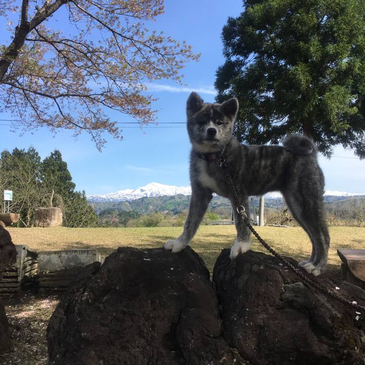 E37a916b de4c 4460 a389 57a095965b39 1556490469598