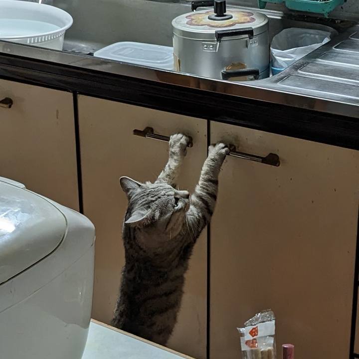 E37aa48a 7d5e 4061 ab1d 9b1f5f4b0625 1715948440123