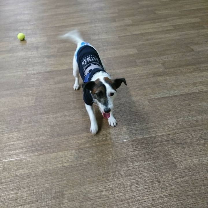 E37ad212 1508 4542 ac56 4e302778b867 1519441657525