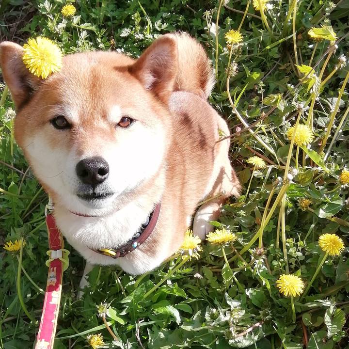 E37af437 4c30 41f8 9980 fb87a374cf7e 1586849839905