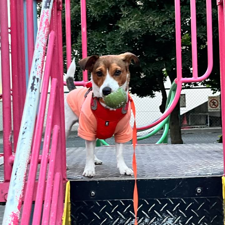 E37af725 211b 428b b17c bc2f4f3b9cd8 1715165477002