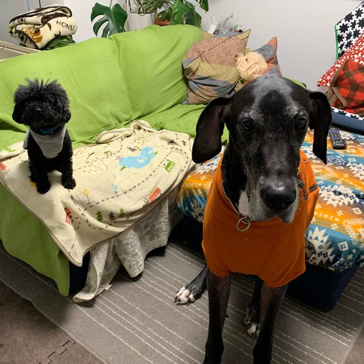 E37b00ee 76b0 4815 917b cd55328bc47d 1574376473289