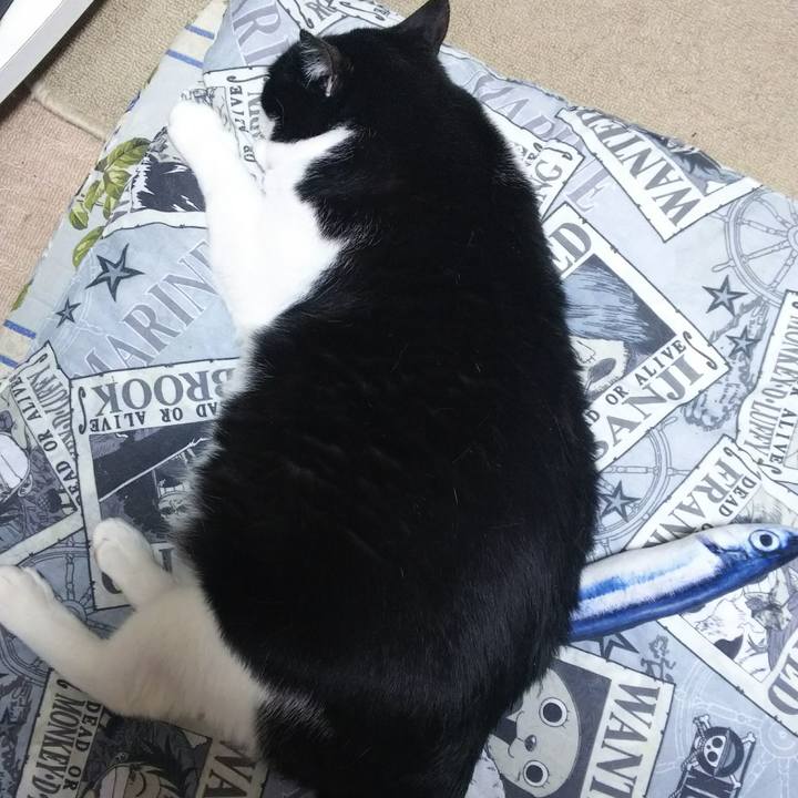 E37b01e9 ec89 42f8 8d16 55cb8409bccd 1528321492443