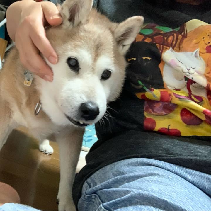 E37b2e2d 965a 4429 8fd6 6fbbc417f4d6 1659965946860