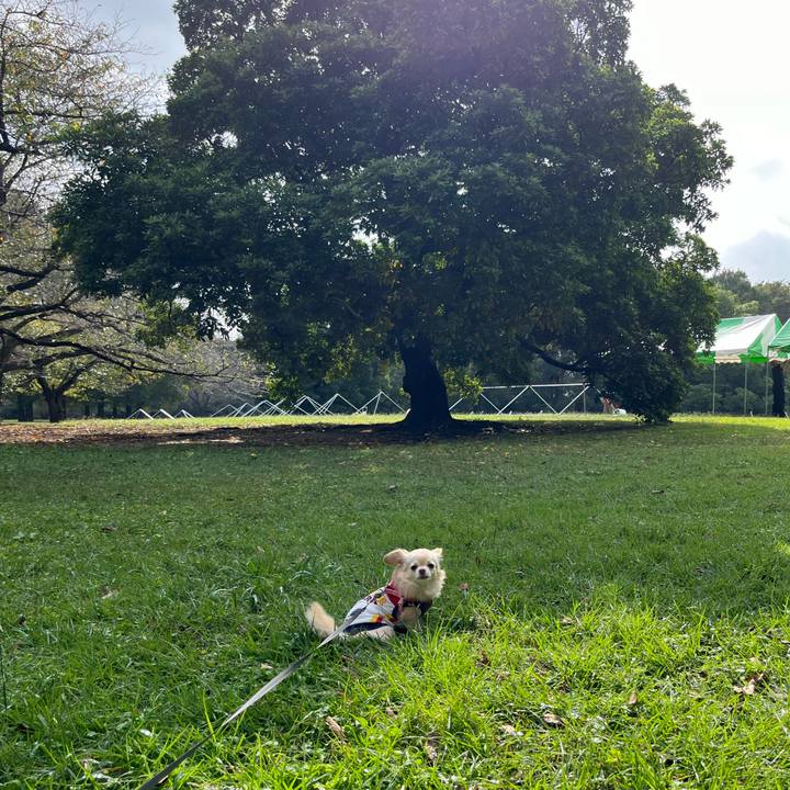 E37b4f2b c0b8 4d08 bc0a 089d61089aab 1729339077472