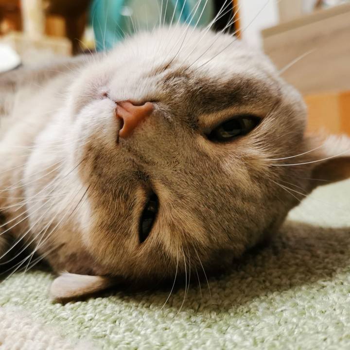 E37b7050 f8a9 4aa9 a787 f994eb074b26 1630500807670