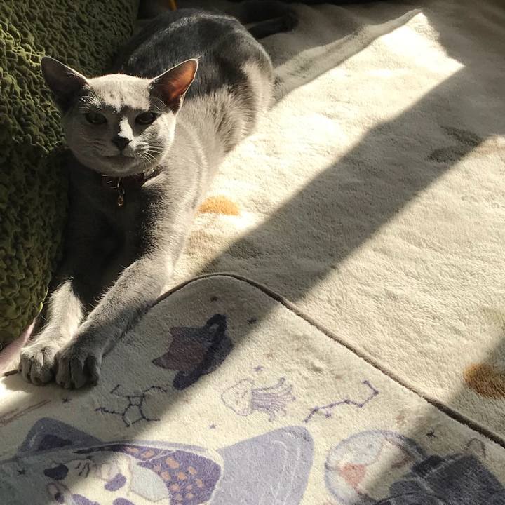 E37b85b0 7303 4dcd 99f2 7774722977e2 1518785088702