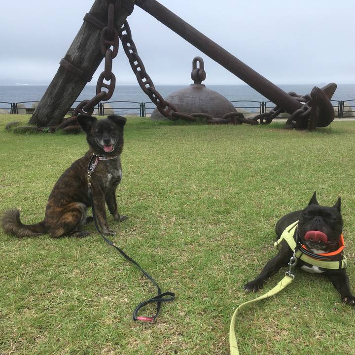 E37b8ab9 65e1 48bf b066 15d1a4ddd7a9 1529932005743