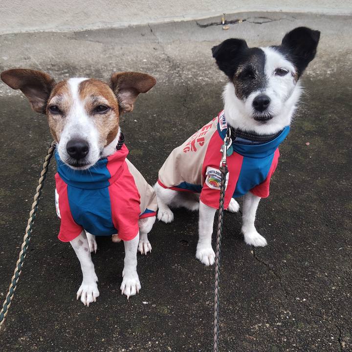 E37bf070 e7e7 4ee3 a68b c8e8238ba86f 1757718302573