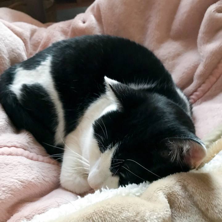 E37bf698 4a0b 4280 b66e c8ce814fc388 1513127618307