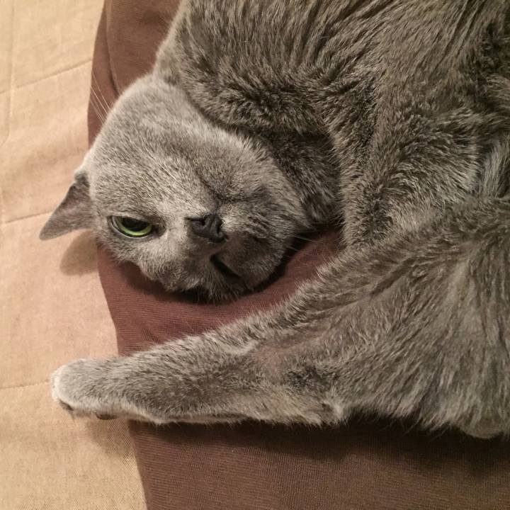 E37c00e7 6a37 463e ab98 b5eb98b1f1e6 1523489151291