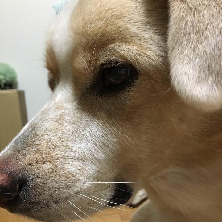 E37c44d6 40b9 4789 8c80 35d4eb3d8816 1540036209700