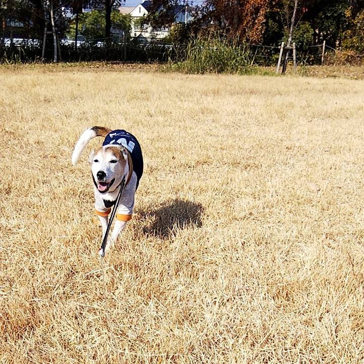 E37c4958 c679 4eec abdf 8f3c60b7a75d 1576300213483