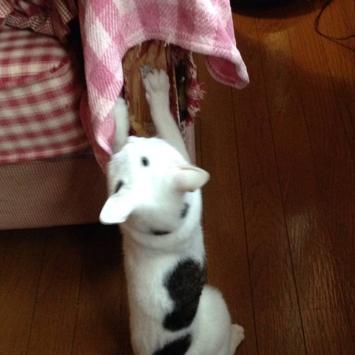 E37c564d 35fc 43a3 8ec3 d21e5254e409 1508794274672