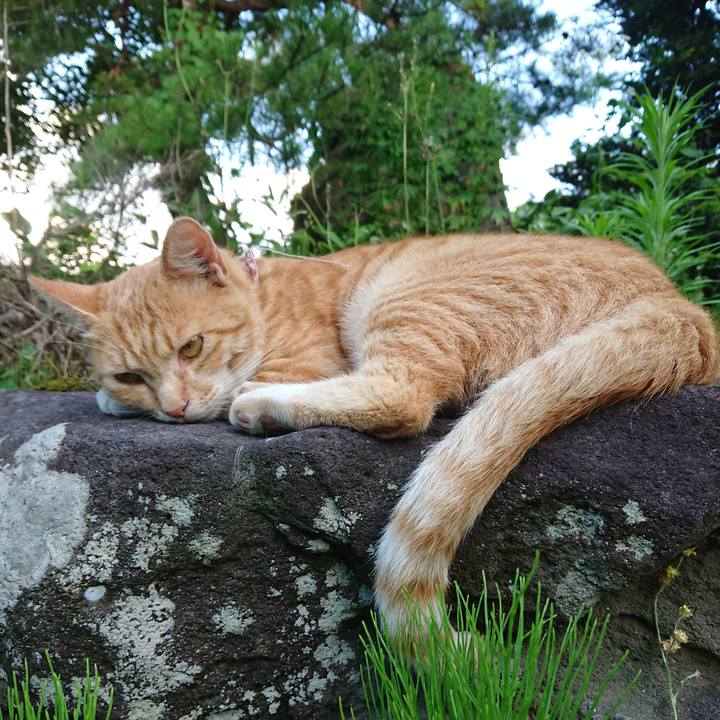 E37cdf6c 25c6 42b8 8e54 84402b4d7487 1563357753439