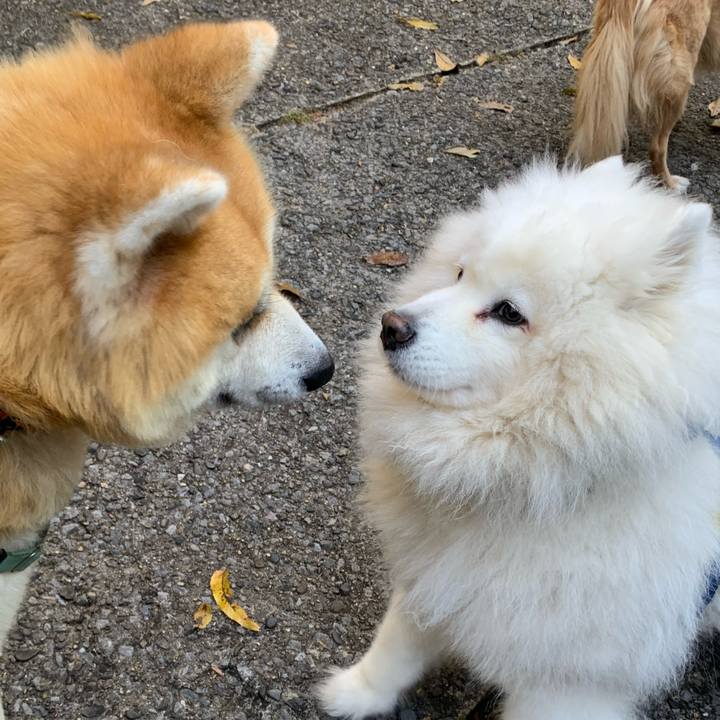 E37ce04e 2fc8 4f50 ba3f 48ca38a61b50 1700880859780