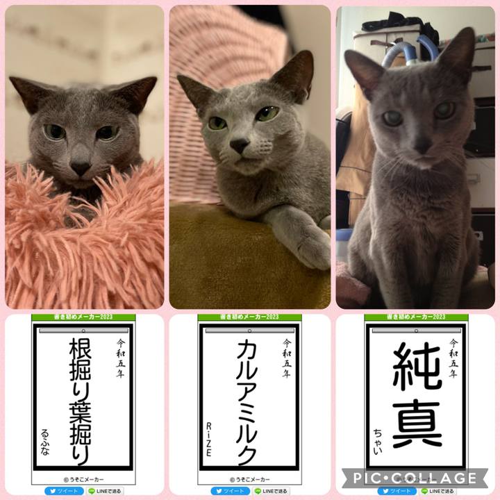 E37ce3df d091 4154 b450 2d76534f2dbf 1672714117228