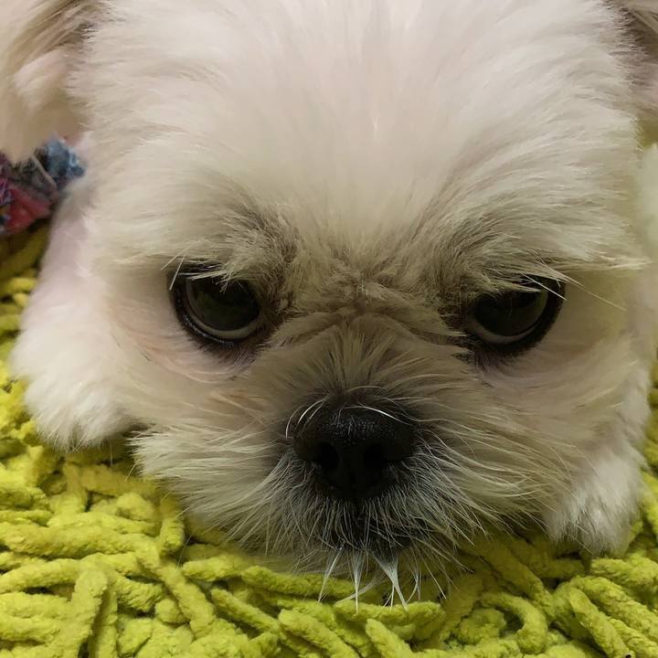 E37cfabe c07c 4fe1 8477 a474cf599cfc 1630748865039