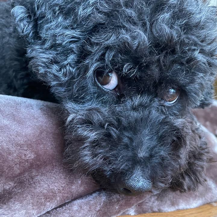 E37d5538 1105 4665 a51c bd732ed871aa 1702695606607