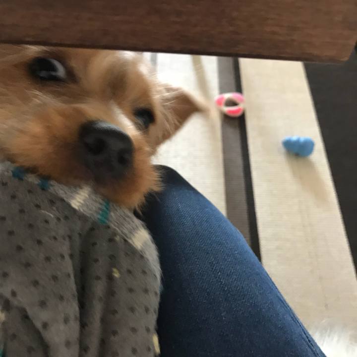 E37d654b 4910 47b1 a935 9d887a376374 1521094704944