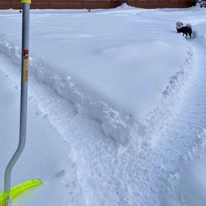 E37d69ef d992 4f6c be40 d6f6c9fad3bc 1765620344895