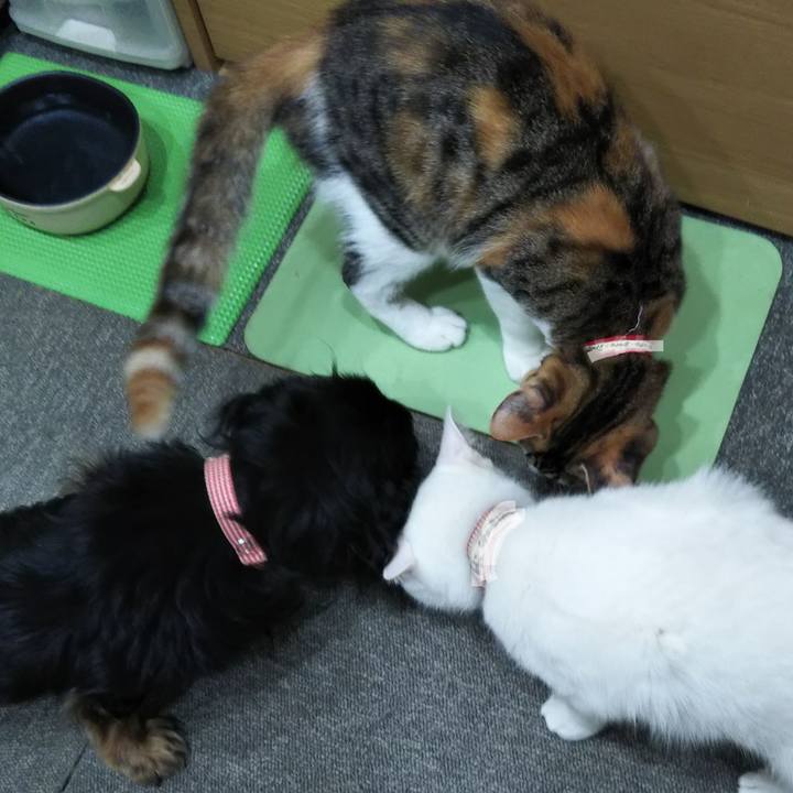 E37d6a22 fd43 433f a86a 7f508cae2358 1637013858506