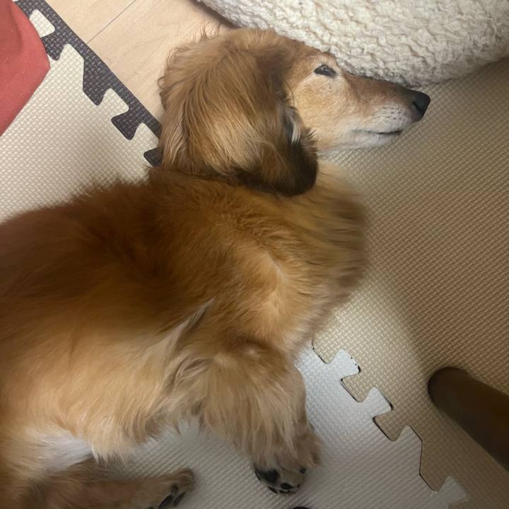 E37dcd5b 0031 4f86 8b4d 9118aadb426a 1677760520220