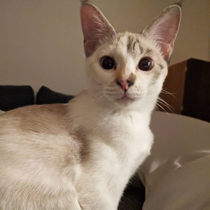 E37de6da 1309 4f65 ba1b 59c35b1d789b 1698058447342