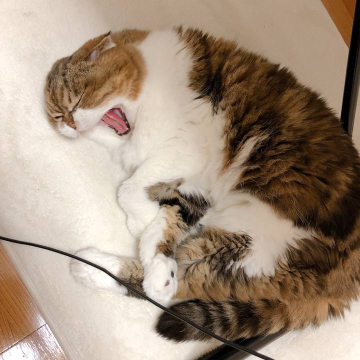 E37deae5 1273 410e 8a52 7873ad632c3c 1596459114183