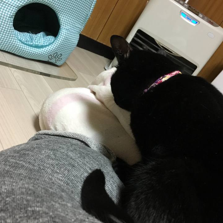 E37df478 4697 40e5 8077 b2e9af2738dd 1515399399525