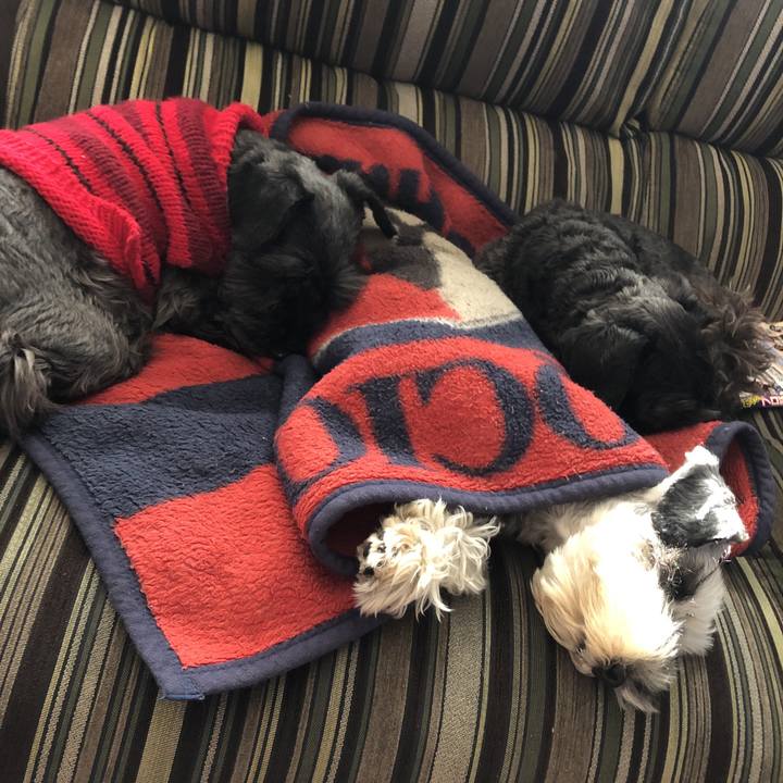 E37e28be fc1d 440b 8450 d13aebb22f4e 1545621485230