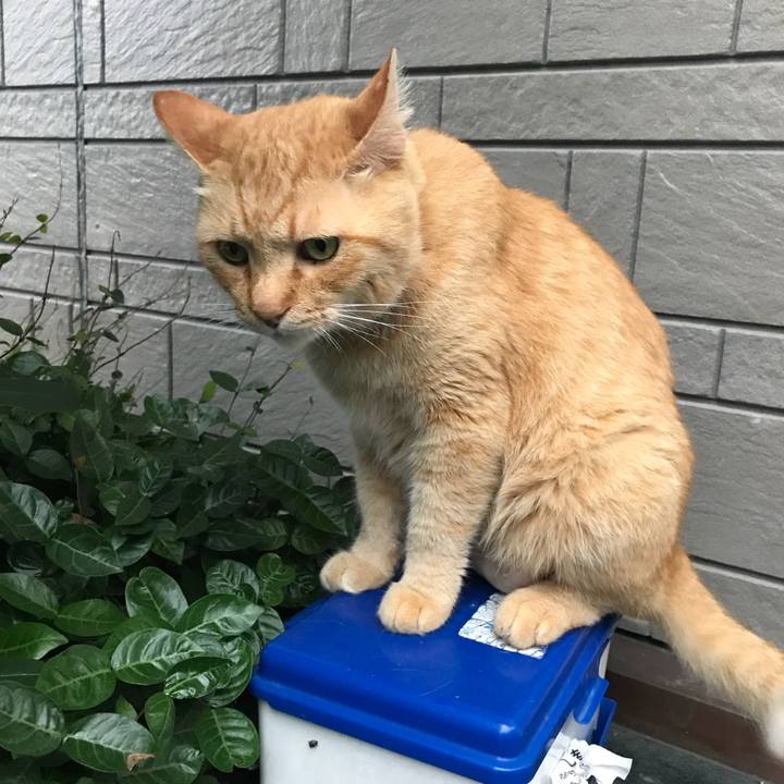 E37e3754 d38f 493d bee2 ca6d6f7aaeb9 1531051566970