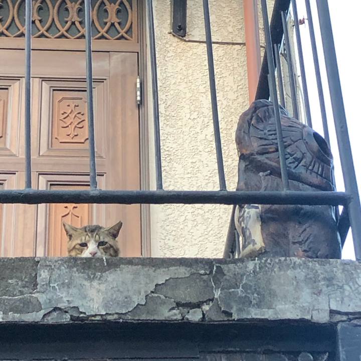 E37e3b71 580c 4f92 9c28 cd5a109c3152 1606142871372