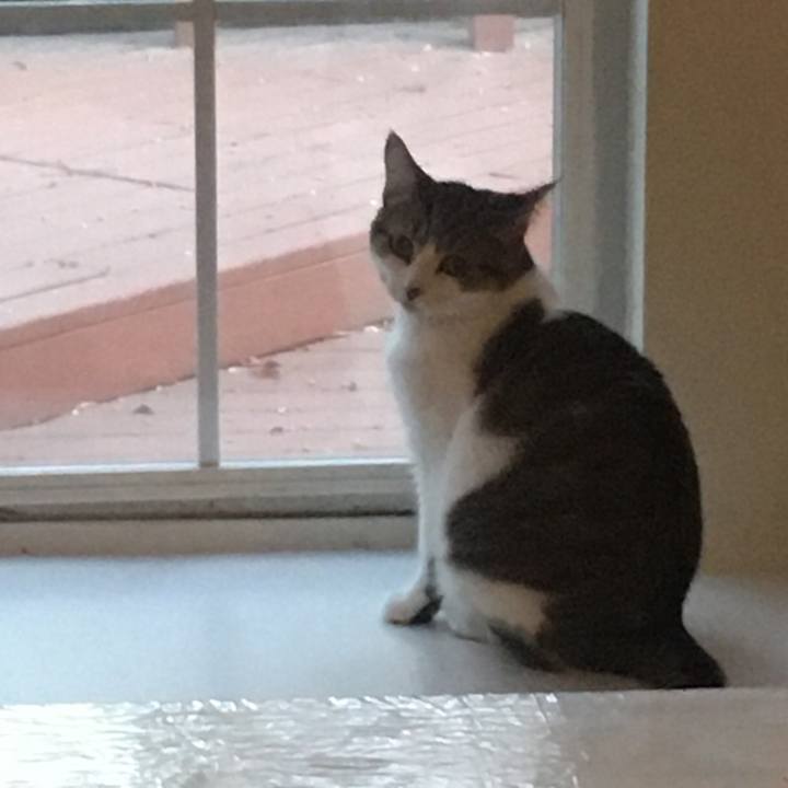 E37e4ae6 8b1c 4a73 b7e3 9ed3676dc15f 1664582991909