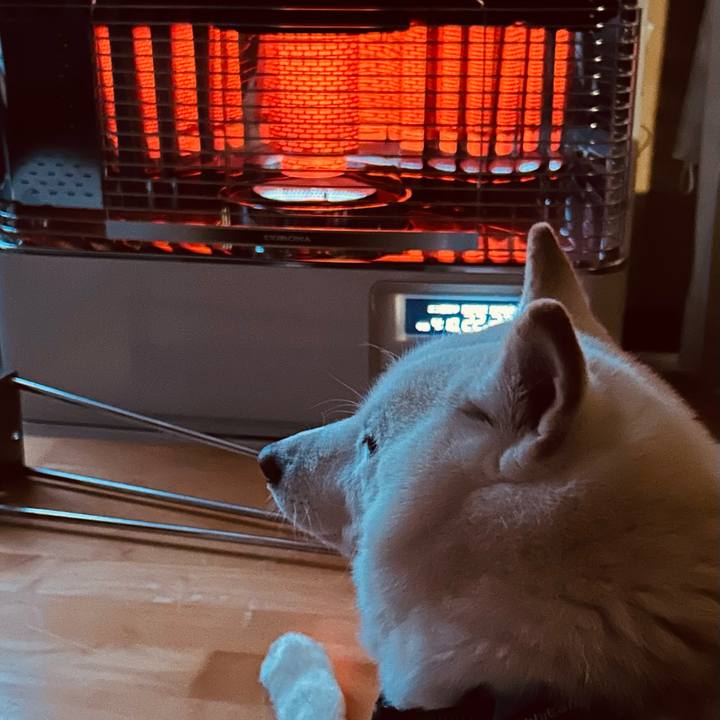 E37e850a 80c7 4fde b84c 69c084bd1e67 1734215231891