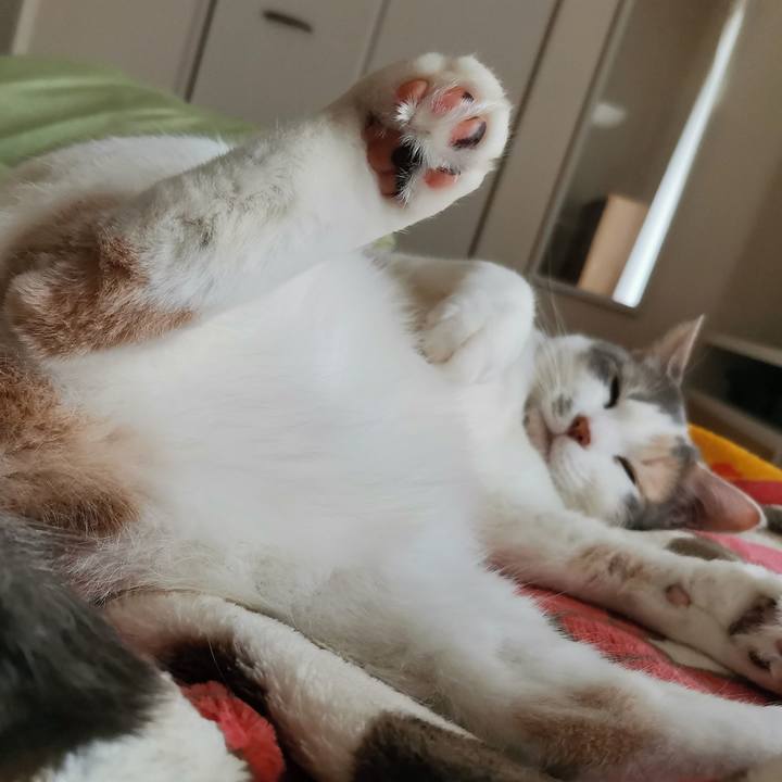 E37ecefa fae8 4d59 a7e4 e1a094136556 1680501929188