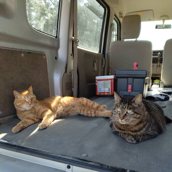 E37ed309 f8a6 43e4 ba08 65ee5be630fd 1681883940819