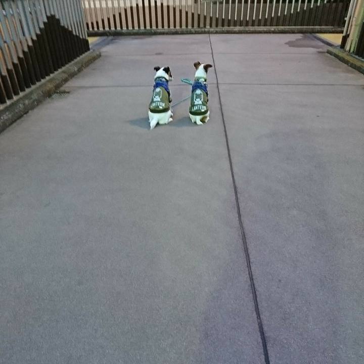 E37eda7e 1ada 43a8 96df 92ceb08e08cf 1590141523672