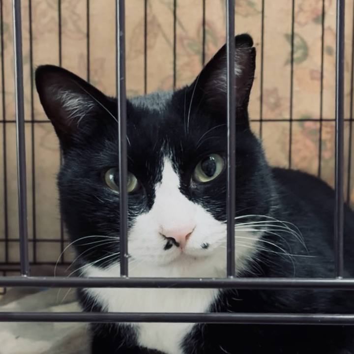 E37eee2f bd22 4270 938a 983ce18467a7 1767848220368