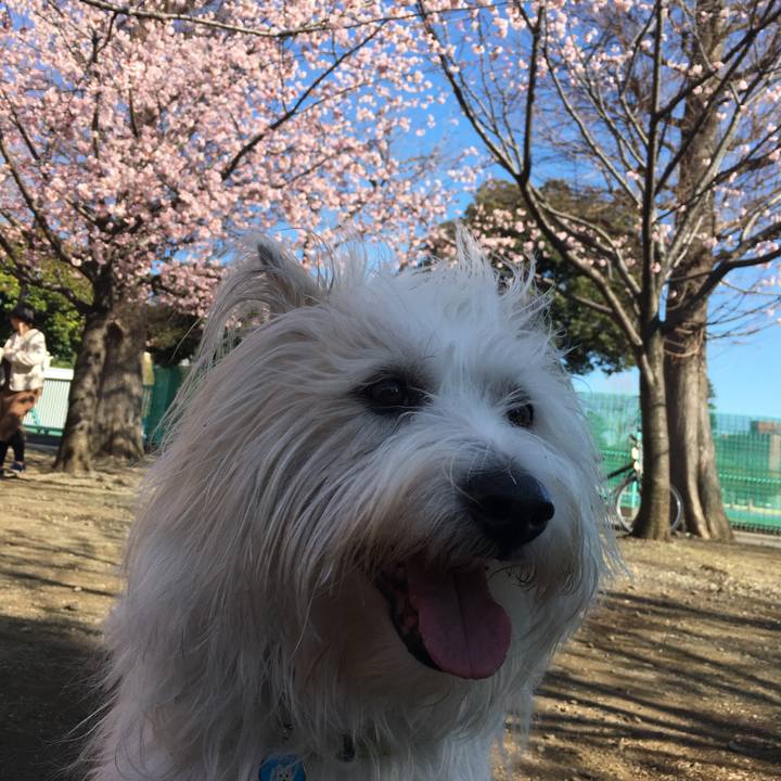 E37f0704 23f4 4e49 839e d28cd464b0fe 1583567998730