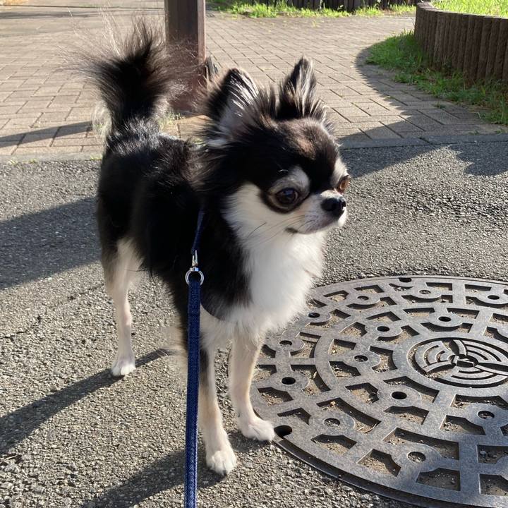 E37f2a1d 9124 4881 bd46 18a2dc64f17c 1657376969308