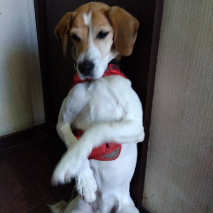 E37f383e 6973 430b be82 dac15ad00a09 1710151944915