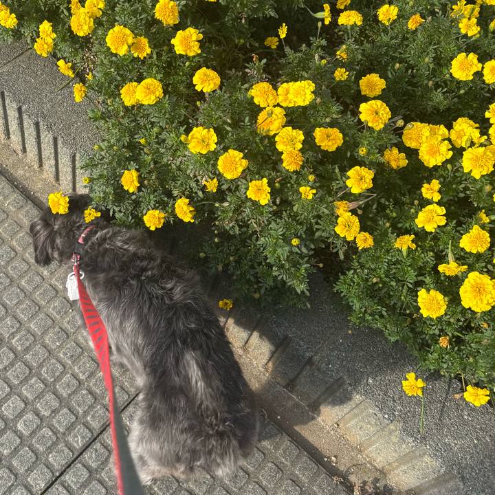 E37f3bcf 5988 4b30 a22e f056b77db558 1758611700044